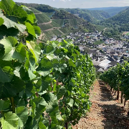 Relaxen Im Weindorf 2 Mayschoss