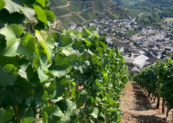 Relaxen Im Weindorf 2 Mayschoß